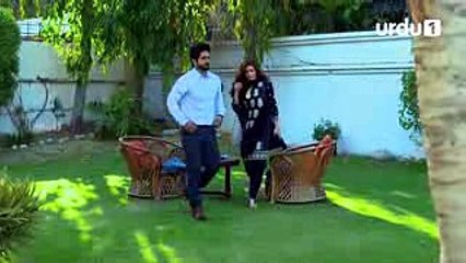 Beti To Main Bhi Hun - Episode 41