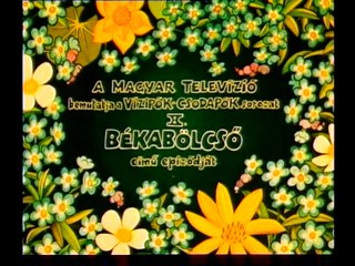 Vizipók csodapók - Békabölcső