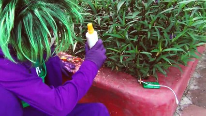 Паук имеет бомбу? Вт/ против Джокера,замороженные Эльза, Малефисента, Халк забавный супергерой в реальной жизни