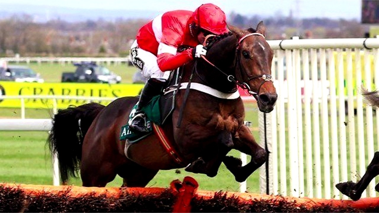 Join VG Tips for £10 prior to the Cheltenham Festival