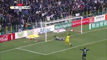 Kashiwa 1:2 Gamba Osaka   (Japanese J League. 5 March 2017)