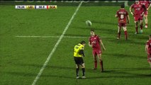 Nigel Owens donne un carton jaune a un ramasseur de balle