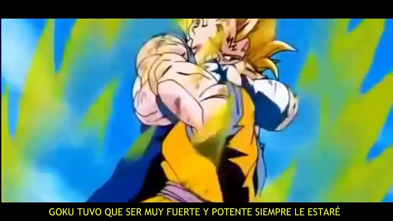 RAP DE VEGETA