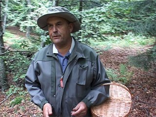 Les champignons dans la Loire 2