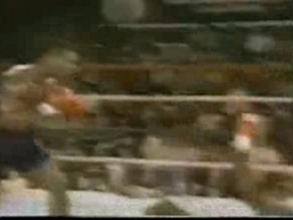 Les meilleurs KO de Mike Tyson