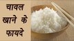Health Benefits of eating Rice | चावल खाने के फायदे | Boldsky