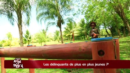 ATPA 08 03 17 DELINQUANTS PLUS JEUNES JULIE PLUTON OK