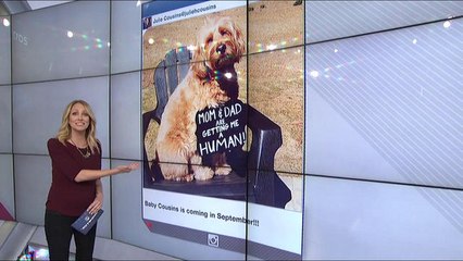 Social Blitz: Myles Garrett, Derek Barnett, Kirk Cousins