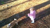Cute Babies Laughing at Dogs Compilation3