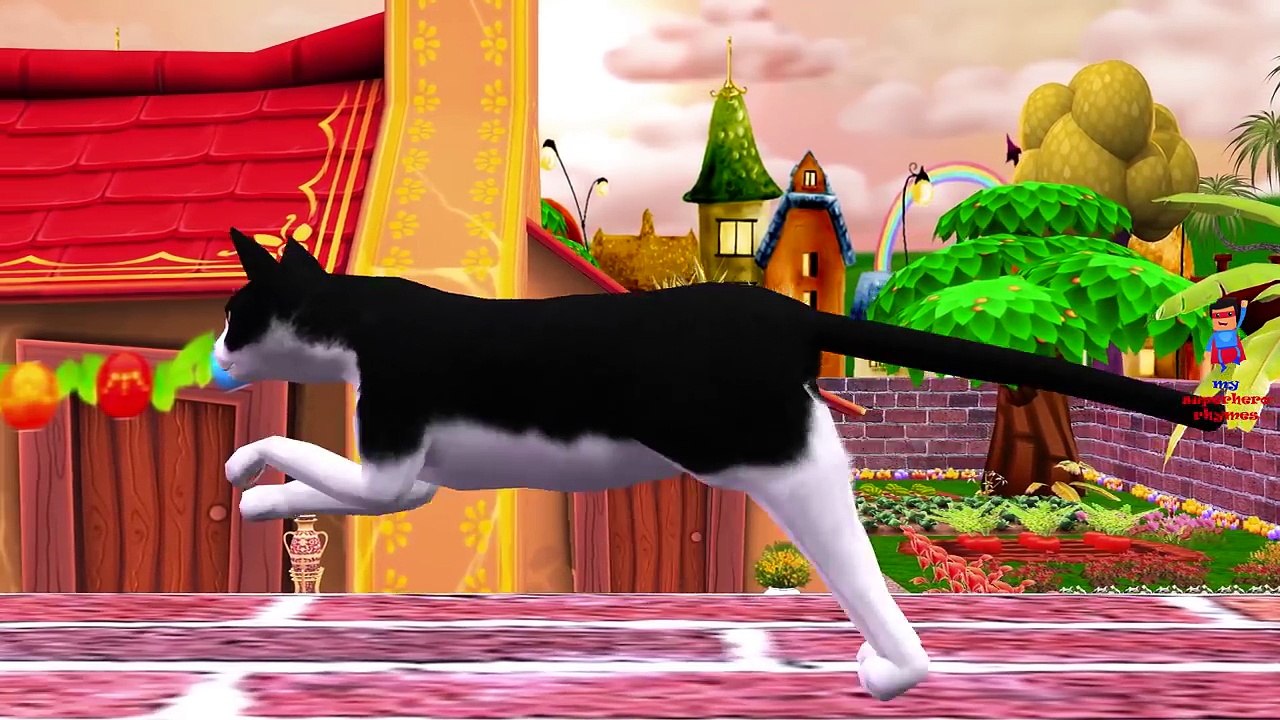 Funny Dogs Colors Cats Finger Family Nursery Rhymes | Little Baby Boy Giant Cats Compilati