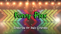 Funny Bread Cat Videos Compzx