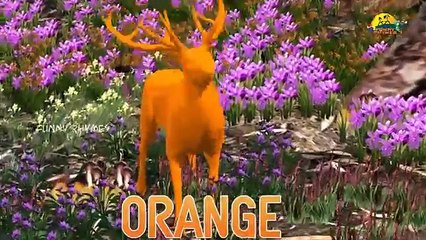 Wild Animals Learn colors lesson With 3D Animals | Nursery children learning colors with 3