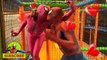 Frozen Elsa IN JAIL! w/ Spiderman, Pink Spidergirl - Fun Superheroes by SHMIRL