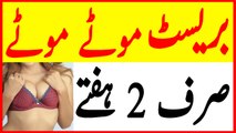 Breast Size Barhanay ka Desi Nuskha in Urdu - Pistan ko Bara Kanre ka Tarika