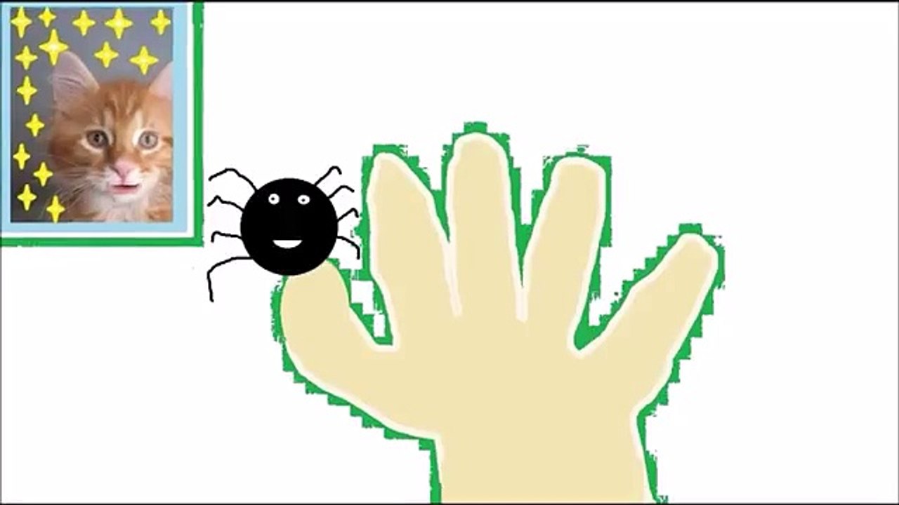 The Finger Family Funny Crazy Spider Family | Finger Songs For Children