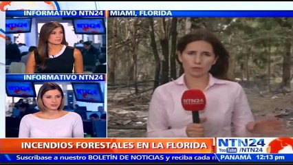 Incendios forestales azotan el sur de La Florida en EE. UU.