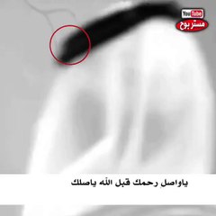 قصيدة عن صلة الرحم