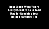 Best Ebook  What You re Really Meant to Do: A Road Map for Reaching Your Unique Potential  For