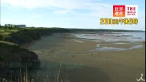 潮の満ち引きが生んだ化石の宝庫 2/26(日)『世界遺産』「ジョギンズ化石断崖（カナダ）」【TBS】