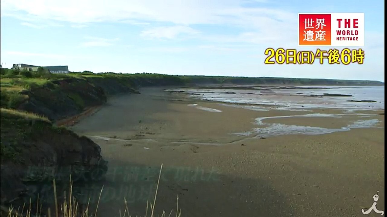 潮の満ち引きが生んだ化石の宝庫 2/26(日)『世界遺産』「ジョギンズ化石断崖（カナダ）」【TBS】