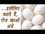 Eggs, अंडे | Health Benefits | इसीलिए कहते हैं, रोज़ खाओ अंडे | Boldsky