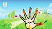 Carrot Cartoons Animation Singing Finger Family Nursery Rhymes for Preschool Childrens So