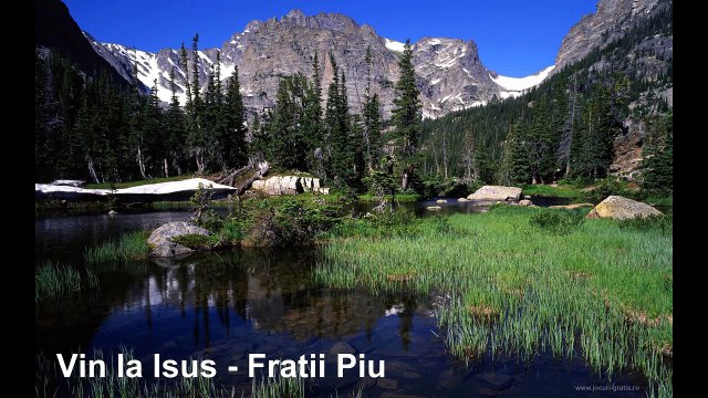 Fratii Piu - Vin la Isus