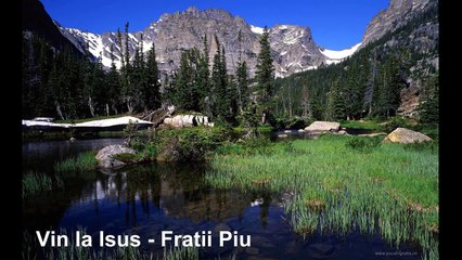 Fratii Piu - Vin la Isus