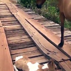 The man has a good heart blessing you did a very good deed (y)