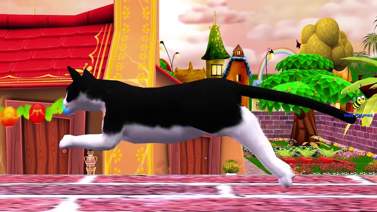 Giant Colors Cats Finger Family Funny Cats Compilation | Little Baby Boy Nursery Rhymes So