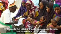 Malnutrition at record high in drought-hit Somalia: ICRC