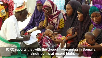 Malnutrition at record high in drought-hit Somalia: ICRC