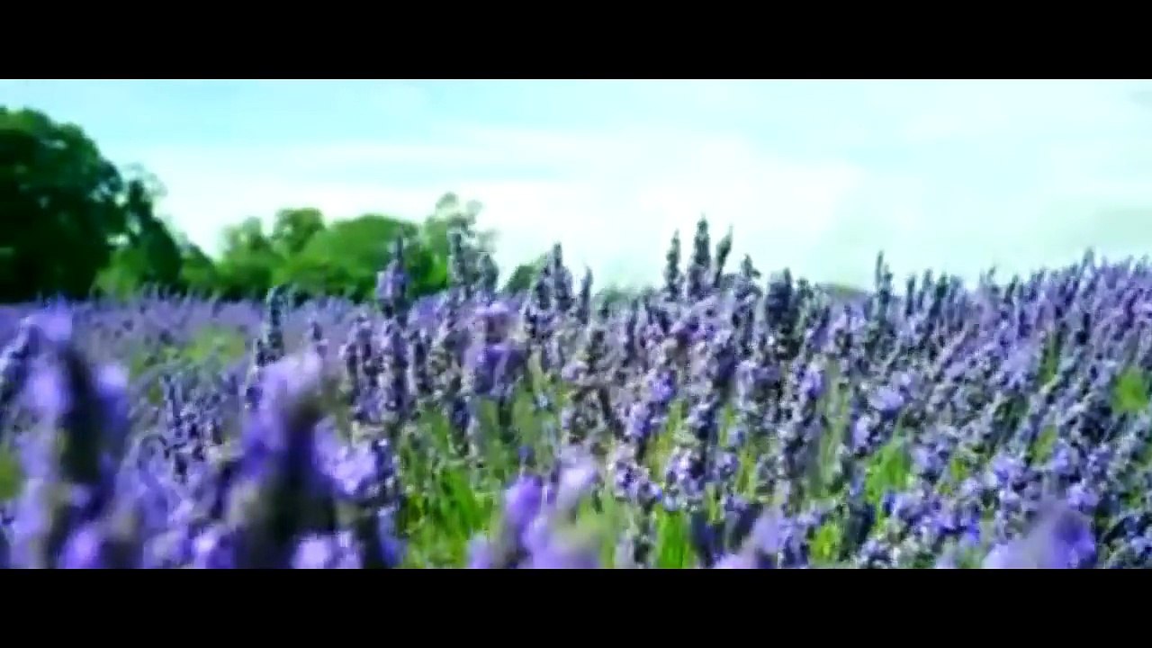 Mile Ho Tum Humse In Romantic Style