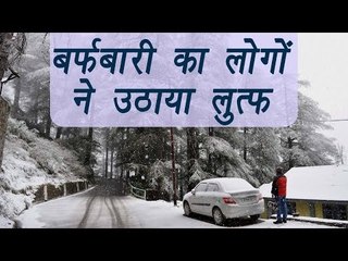 Rajouri, Shimla receives fresh bout of snow, Cold wave intensifies, watch video