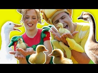 فوزي موزي وتوتي – أغنية البطة البطبوطة – The Duck Song