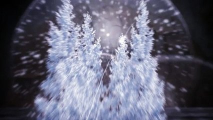 Trophy Albany, NY | (518) 235-6362