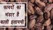 Black Cardamom, काली इलायची | Health benefits | फायदों का भंडार काली इलायची | Boldsky