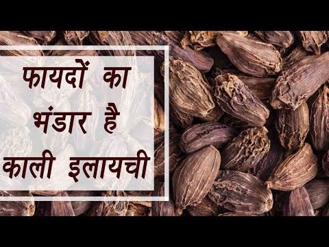 Black Cardamom, काली इलायची | Health benefits | फायदों का भंडार काली इलायची | Boldsky