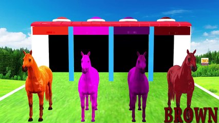 3D Horse Colours Songs Collection, Learning Colours For Children Nursery Rhymes and Songs #2