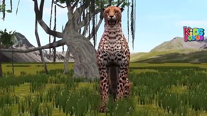 Wild Felines Finger Family song for kids | Nursery Rhymes Wild animals