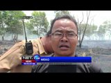 Kebakaran Lahan Gambut di Pontianak - NEt24