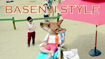 Basenji Style - Crazy Dog Yodel Gangnam Style Remix