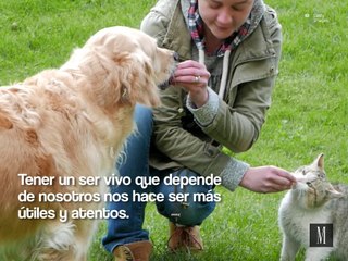 Ellos son los mejores amigos que podemos tener