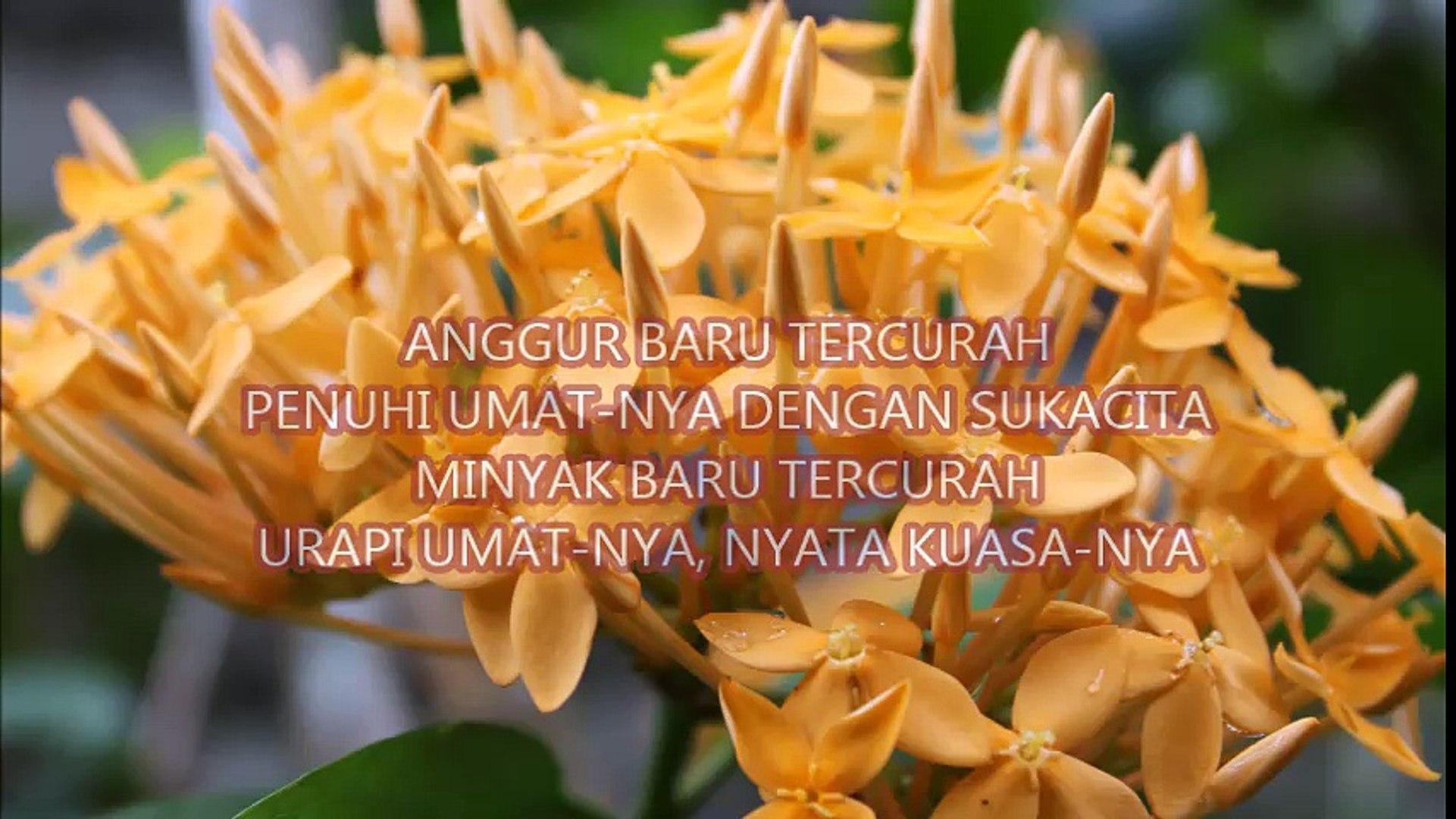 Lirik Lagu Rohani Kristen Anggur Baru Video Dailymotion