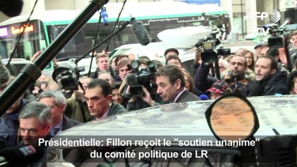 Fillon reçoit le "soutien unanime" du comité politique de LR