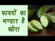 Cucumber, खीरा | Health Benefits | फायदों का भण्डार है खीरा | Boldsky