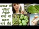 Hair fall treatment using guava leaves |अमरुद की पत्तियाँ रोकेंगी बालों का झड़ना | Boldsky