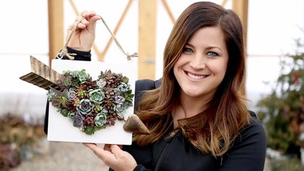 Your Garden Needs This Heart Of A Succulent