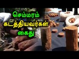 செம்மரம் கடத்தியவர்கள் கைது | Red Sandalwood Smugglers Are Arrested  - Oneindia Tamil