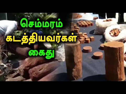 செம்மரம் கடத்தியவர்கள் கைது | Red Sandalwood Smugglers Are Arrested - Oneindia Tamil